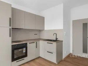 Pronájem bytu 1+kk, Milovice, 29 m2