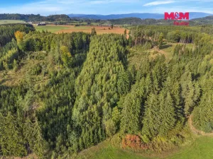 Prodej lesa, Vidochov, 8513 m2