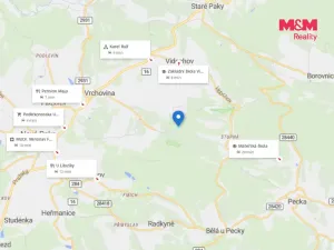 Prodej lesa, Vidochov, 8513 m2
