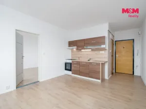 Prodej bytu 1+1, Ústí nad Labem, Kmochova, 33 m2