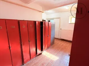 Pronájem výrobních prostor, Netolice, Mírové Náměstí, 500 m2