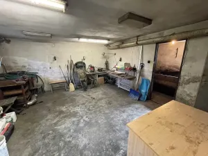 Pronájem rodinného domu, Bříšťany, 230 m2