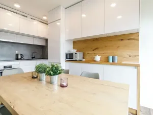 Prodej rodinného domu, Loučná pod Klínovcem, 146 m2