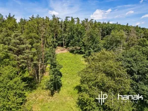 Prodej pozemku pro bydlení, Hluchov, 3150 m2
