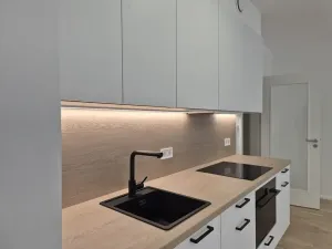 Prodej bytu 1+kk, Praha - Žižkov, Kaplířova, 43 m2