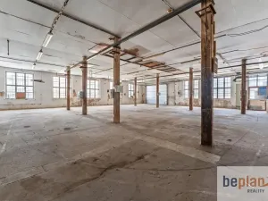 Prodej obchodního prostoru, Varnsdorf, Dvořákova, 7660 m2