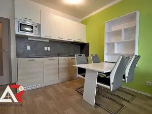 Pronájem bytu 1+kk, Brno, Turgeněvova, 40 m2
