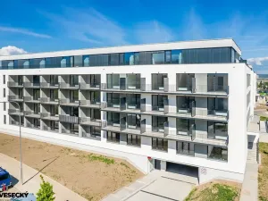 Prodej bytu 1+kk, Plzeň, Železná, 37 m2