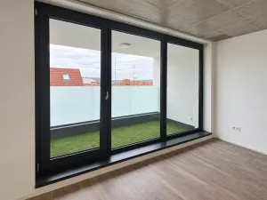 Pronájem bytu 1+kk, České Budějovice, Štítného, 44 m2