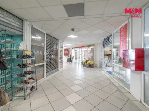 Pronájem obchodního prostoru, Tachov, Zámecká, 117 m2