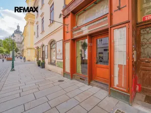 Pronájem obchodního prostoru, Plzeň, Bedřicha Smetany, 312 m2