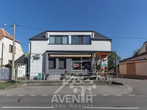 Prodej komerční nemovitosti, Ratíškovice, Vítězná, 329 m2