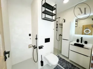 Pronájem bytu 1+1, České Budějovice, Puklicova, 41 m2