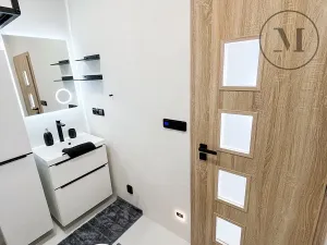 Pronájem bytu 1+1, České Budějovice, Puklicova, 41 m2