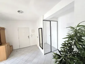 Pronájem bytu 3+kk, Brno, Žlutá, 90 m2