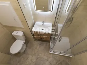 Pronájem bytu 1+1, Karviná - Mizerov, Borovského, 36 m2