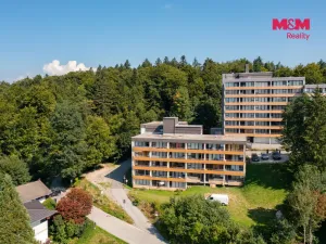 Prodej bytu 1+1, Příbram - Příbram II, Dlouhá, 31 m2