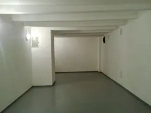 Prodej skladu, Praha - Bubeneč, Šestidomí, 42 m2