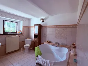 Prodej zemědělské usedlosti, Cheb, 960 m2