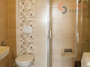 Prodej bytu 1+kk, Šakvice, Hlavní, 32 m2