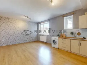 Prodej bytu 1+kk, České Budějovice, Riegrova, 35 m2