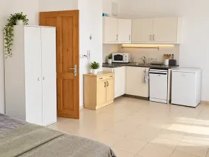 Prodej bytu 1+kk, Praha - Dejvice, Zikova, 64 m2