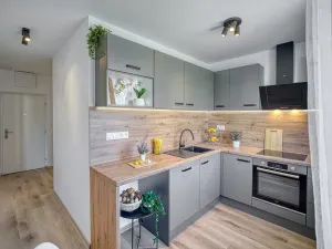 Pronájem bytu 2+1, Most, Hutnická, 51 m2