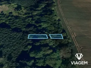 Prodej podílu lesa, Lukovany, 4460 m2