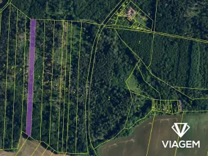 Prodej podílu lesa, Lukovany, 4460 m2