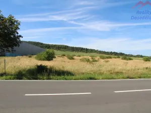 Prodej komerčního pozemku, Cerhovice, Plzeňská, 9984 m2