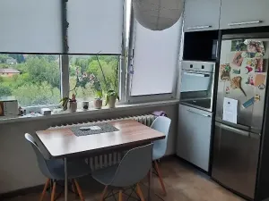 Pronájem bytu 3+1, Liberec, Ječná, 71 m2