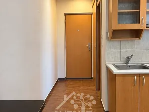 Prodej bytu 1+kk, Liberec, Nad Školou, 34 m2