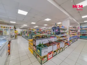 Prodej obchodního prostoru, Žlutice, Mlýnská, 845 m2