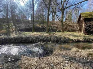 Dražba pozemku pro bydlení, Jívka, 2052 m2