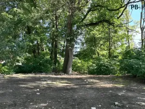 Prodej pozemku pro bydlení, Ledce, 9180 m2