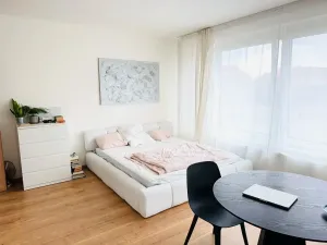 Pronájem bytu 1+kk, Praha - Vysočany, Střídavá, 36 m2