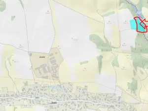 Prodej lesa, Jedlí, 10342 m2