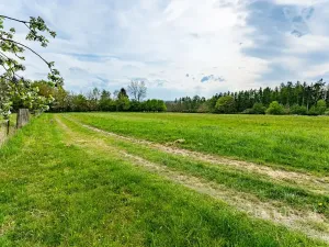 Prodej rodinného domu, Loket, 80 m2