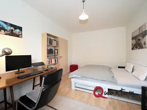 Pronájem bytu 2+kk, Praha - Žižkov, U staré cihelny, 57 m2