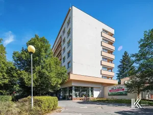 Prodej bytu 3+1, Pardubice, Palackého třída, 89 m2