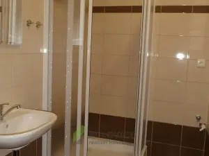Pronájem bytu 1+kk, Milovice, Slepá, 26 m2