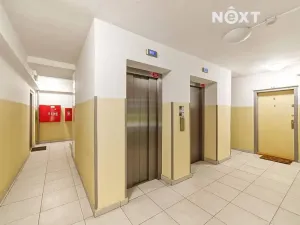 Prodej bytu 2+1, Praha - Žižkov, Habrová, 46 m2