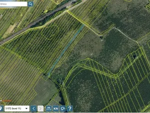 Prodej sadu/vinice, Lužice, 3039 m2