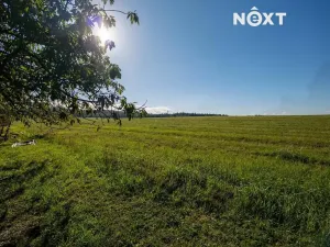 Prodej pozemku pro bydlení, Nové Mitrovice, 1882 m2