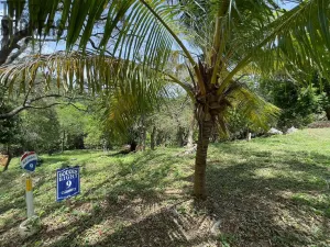 Prodej pozemku, Coxen Hole, Roatán, Honduras, 1966 m2