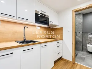 Pronájem bytu 1+1, Praha - Smíchov, Ostrovského, 32 m2