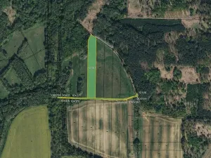 Prodej louky, Lázně Bohdaneč, 10075 m2
