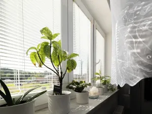 Prodej rodinného domu, Ostrava, Za Ještěrkou, 90 m2