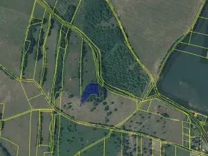 Prodej louky, Prackovice nad Labem, 41221 m2