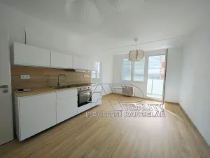 Pronájem bytu 1+1, České Budějovice, Budivojova, 49 m2